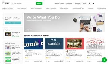 &quot;fiverr overview